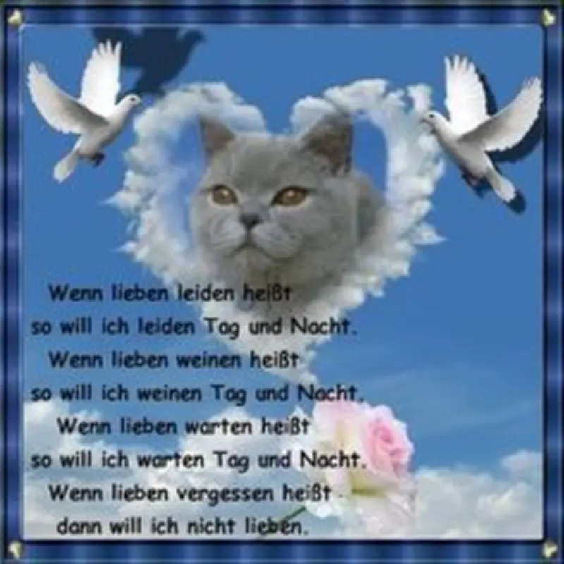 Andachtsbild von Katrin und Katzi im ❤️