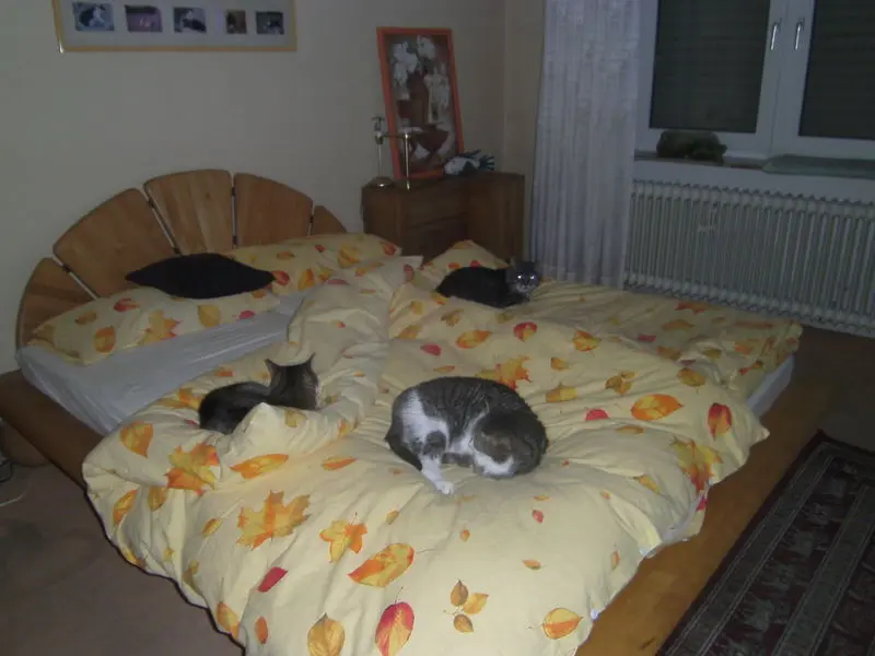 Condolence image of susanne