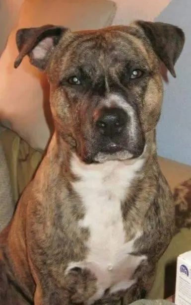 Bild von Bella ( Omi )