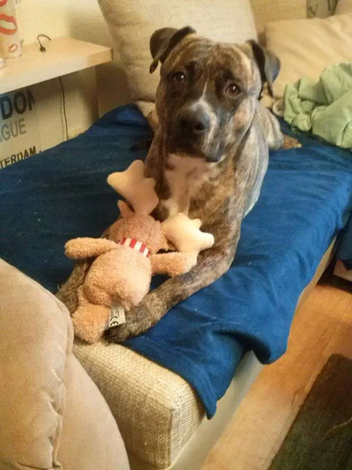Bild von Bella ( Omi )