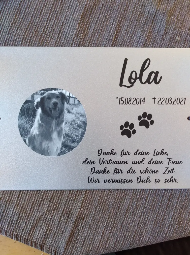 Image from Lola