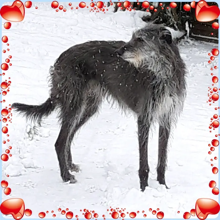 Image from Abby