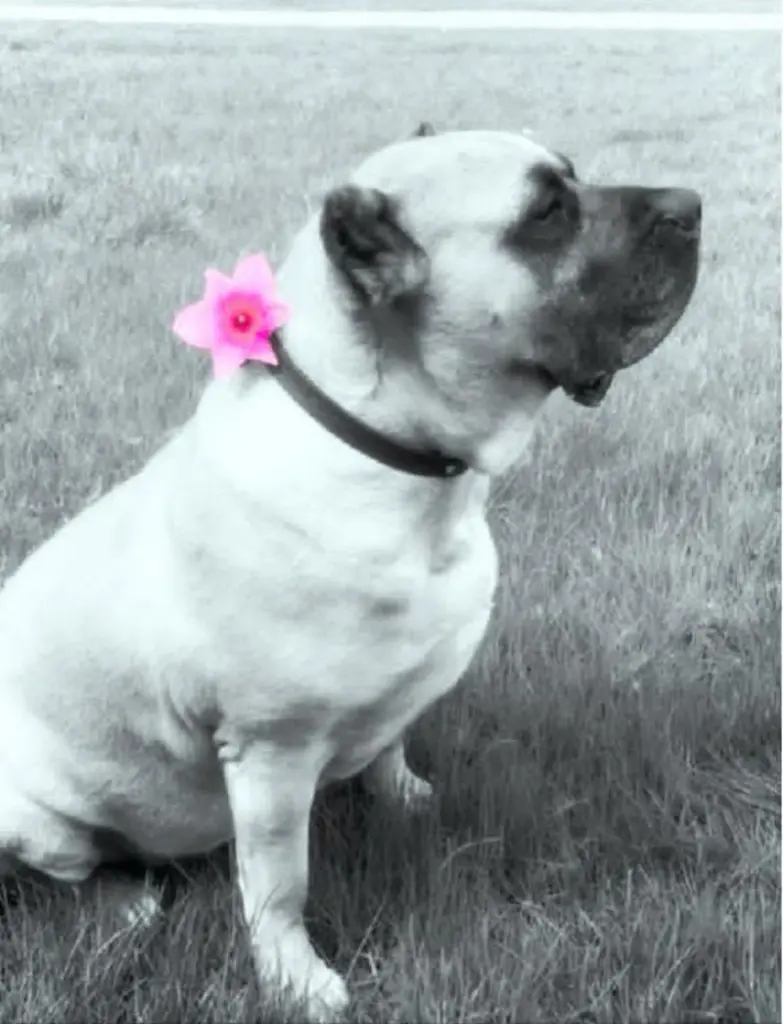 Condolence image of Margitta 