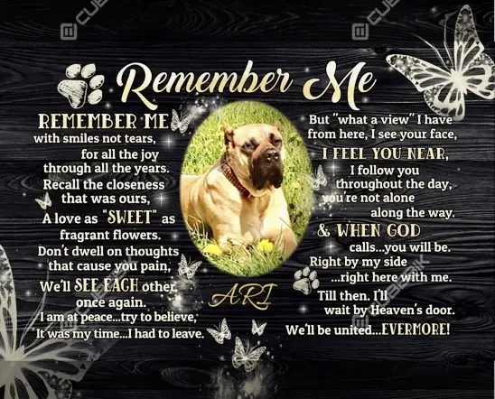 Condolence image of Ari