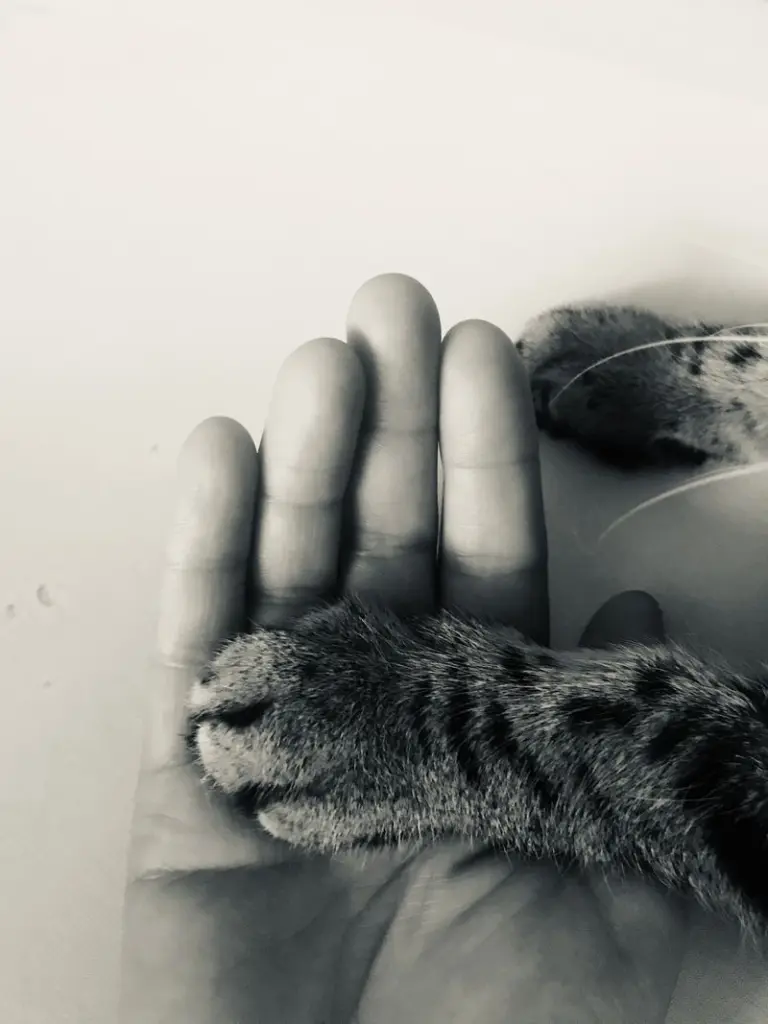 Condolence image of Ulli
