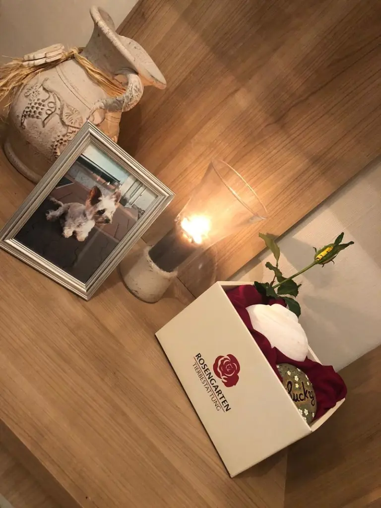 Condolence image of Jana 