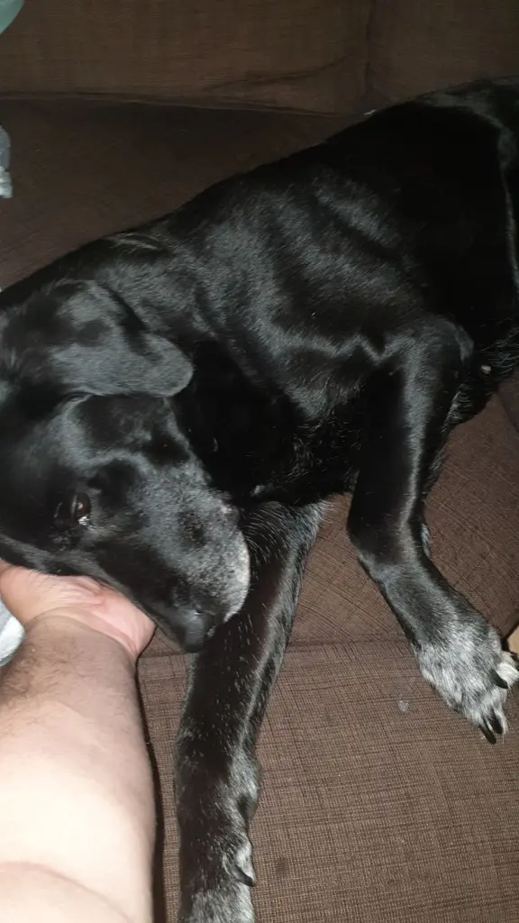 Condolence image of Dennis
