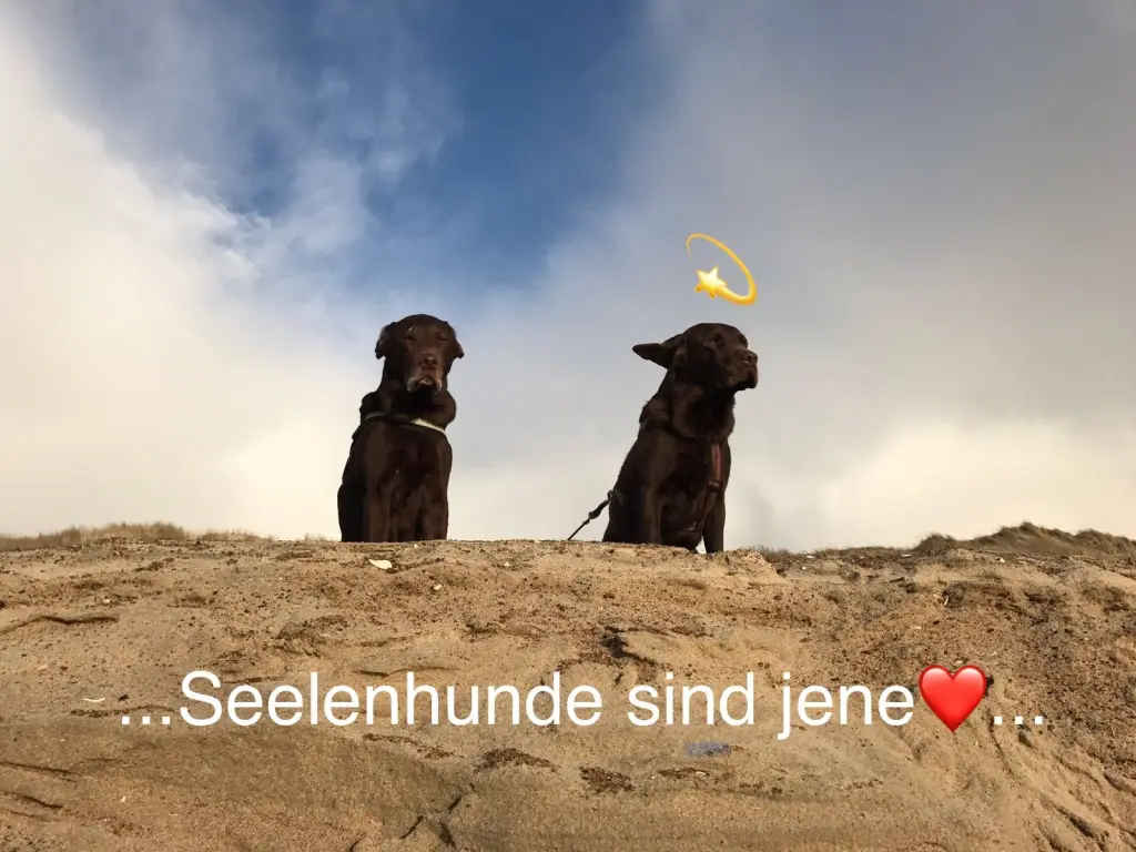 Image from Anakin