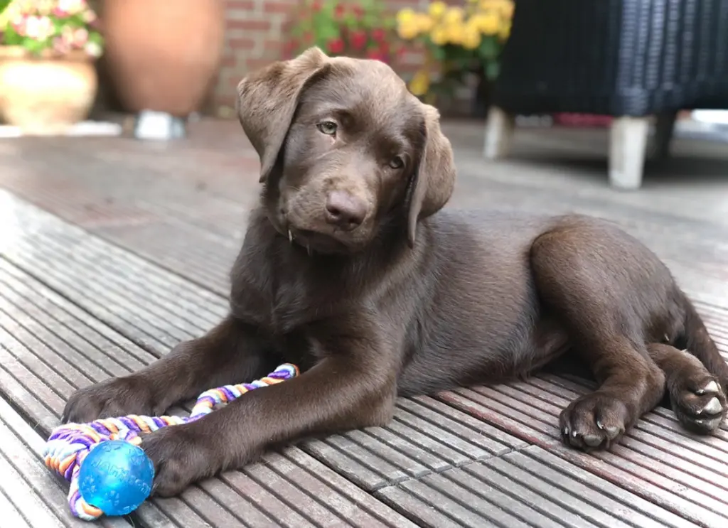 Andachtsbild von Mimi mit Hala im Herzen❤️