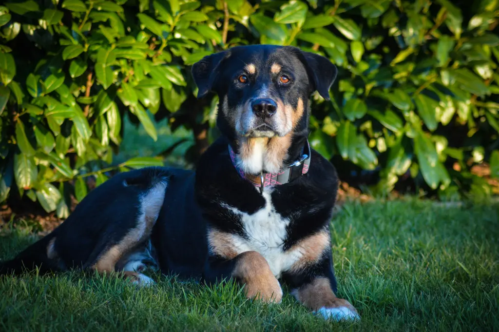 Image from Brutus