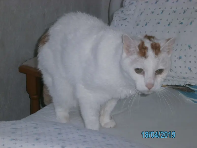 Image from Lenny (Leonhard)
