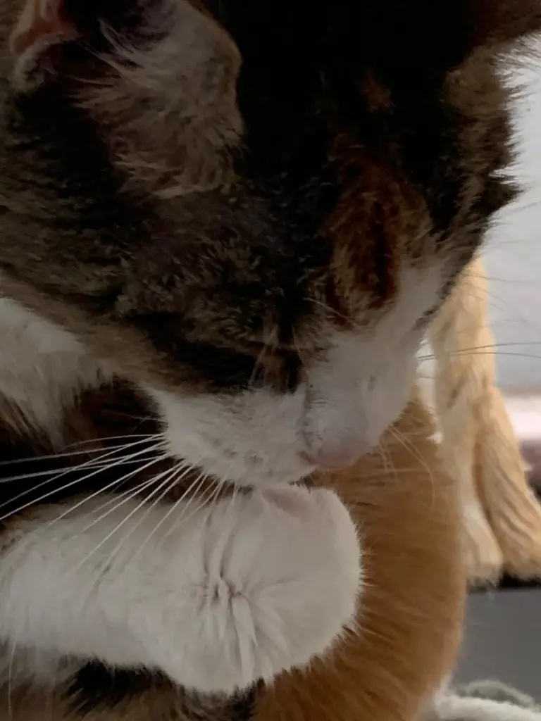Condolence image of Dennis