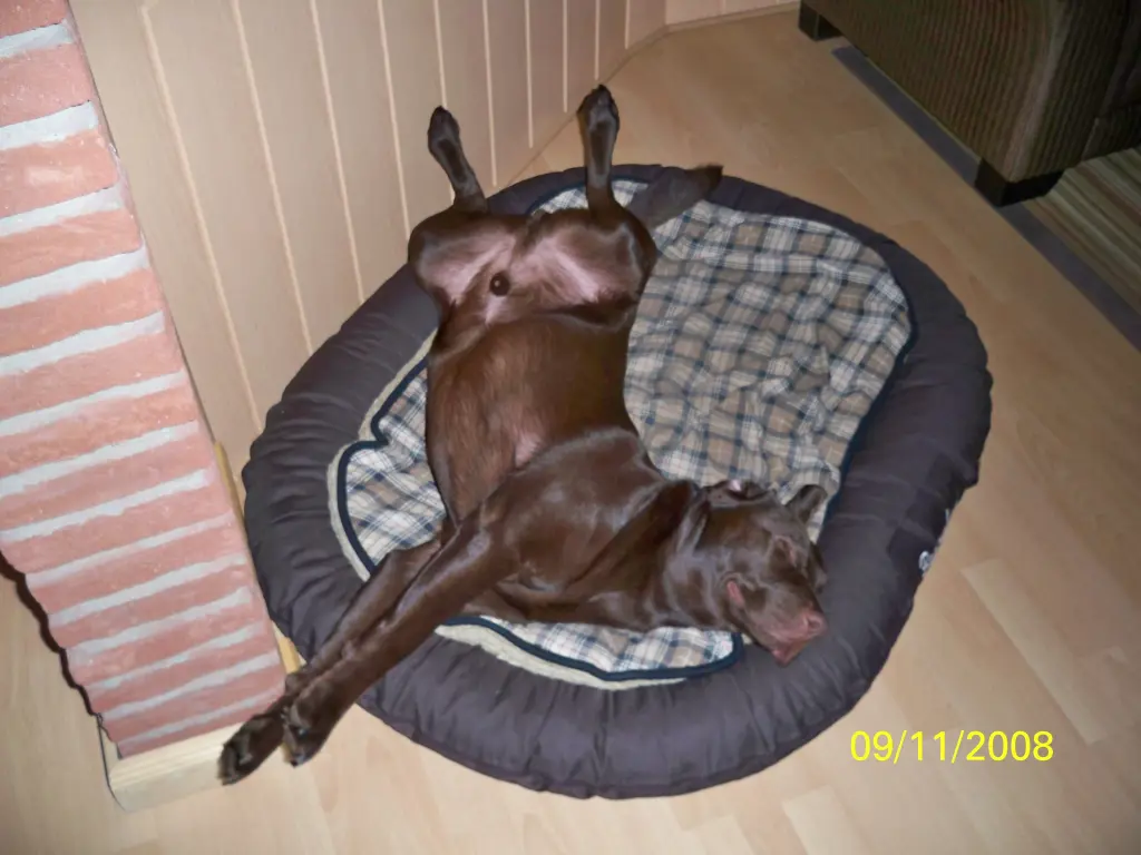Image from Hunter