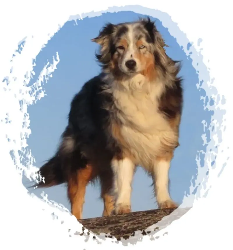 Condolence image of Gudrun