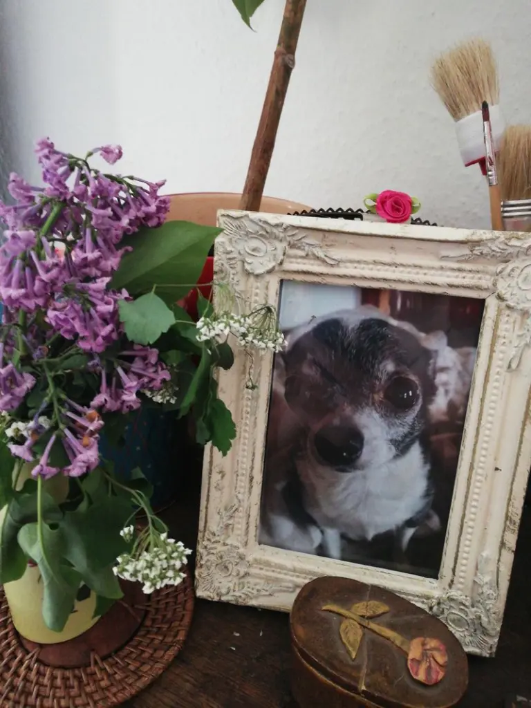 Condolence image of Kathrin