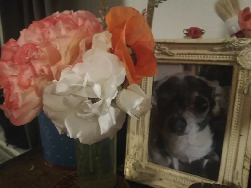 Condolence image of Kathrin