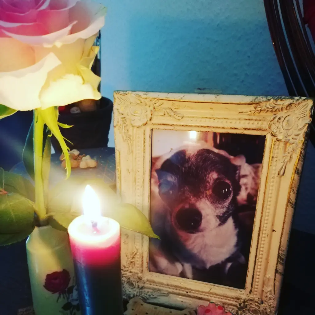 Condolence image of Unbekannt