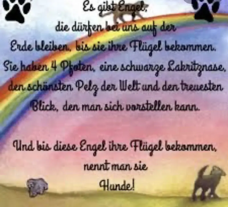 Condolence image of Von Herzen für Pepper