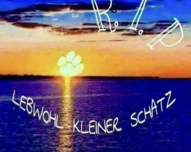 Condolence image of Für Pepper den kleinen Engel