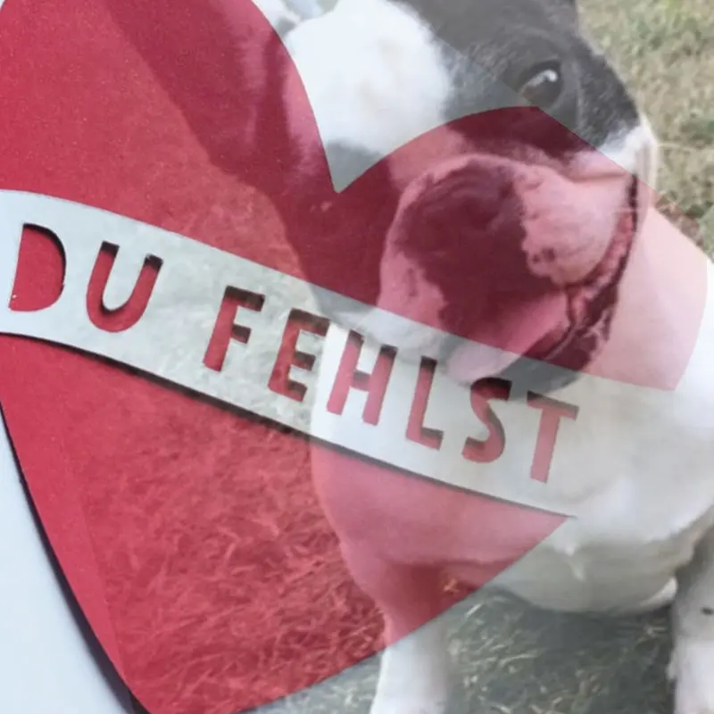 Condolence image of dein Frauchen❤️
