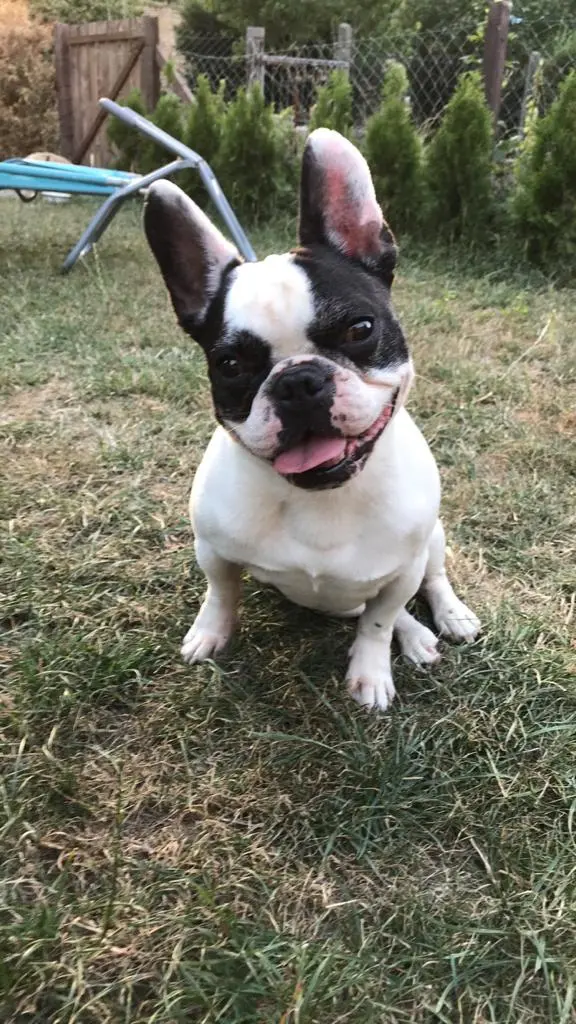 Image from Pepper❤️
