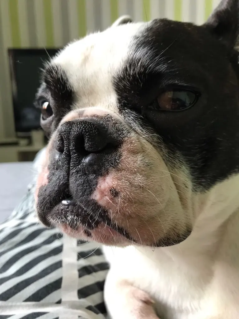 Image from Pepper❤️