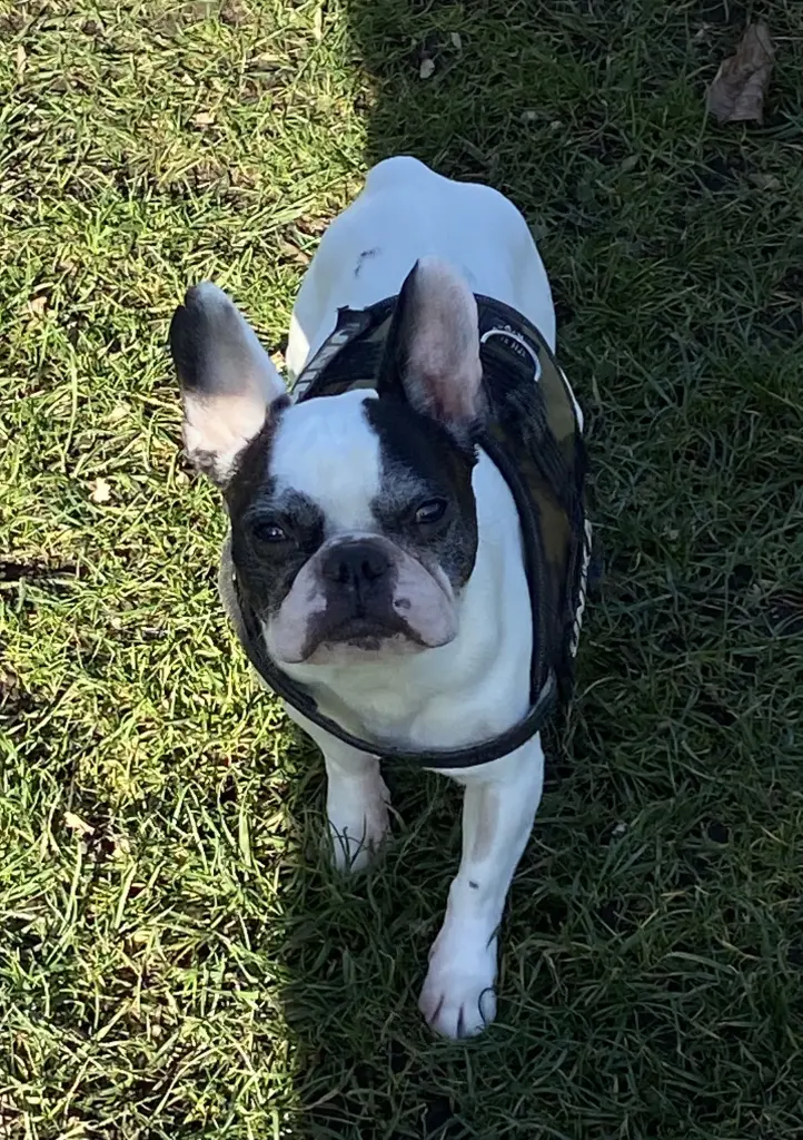 Image from Pepper❤️