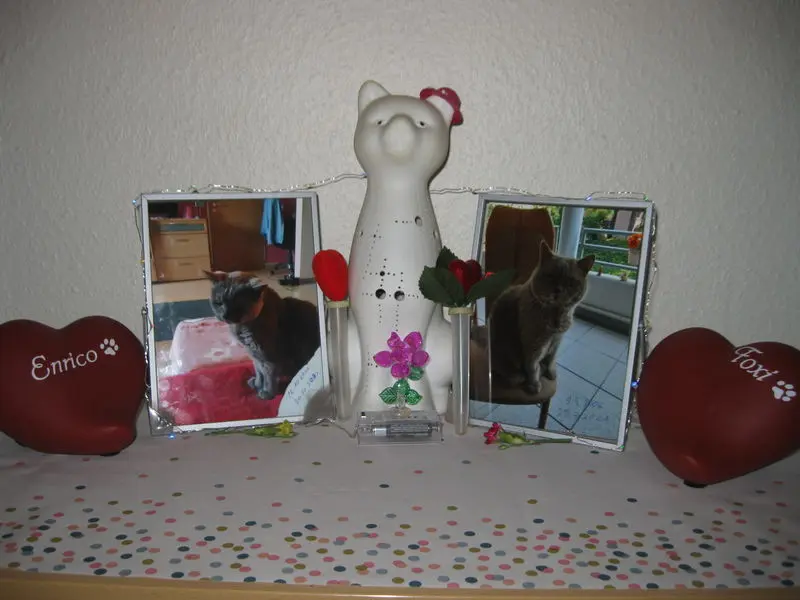 Image from Enrico und Foxi