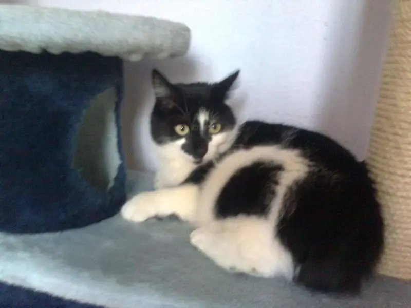 Andachtsbild von Joelina mit Mandy im Herzen