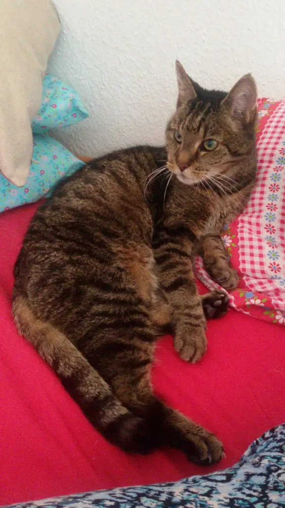 Andachtsbild von Lydia