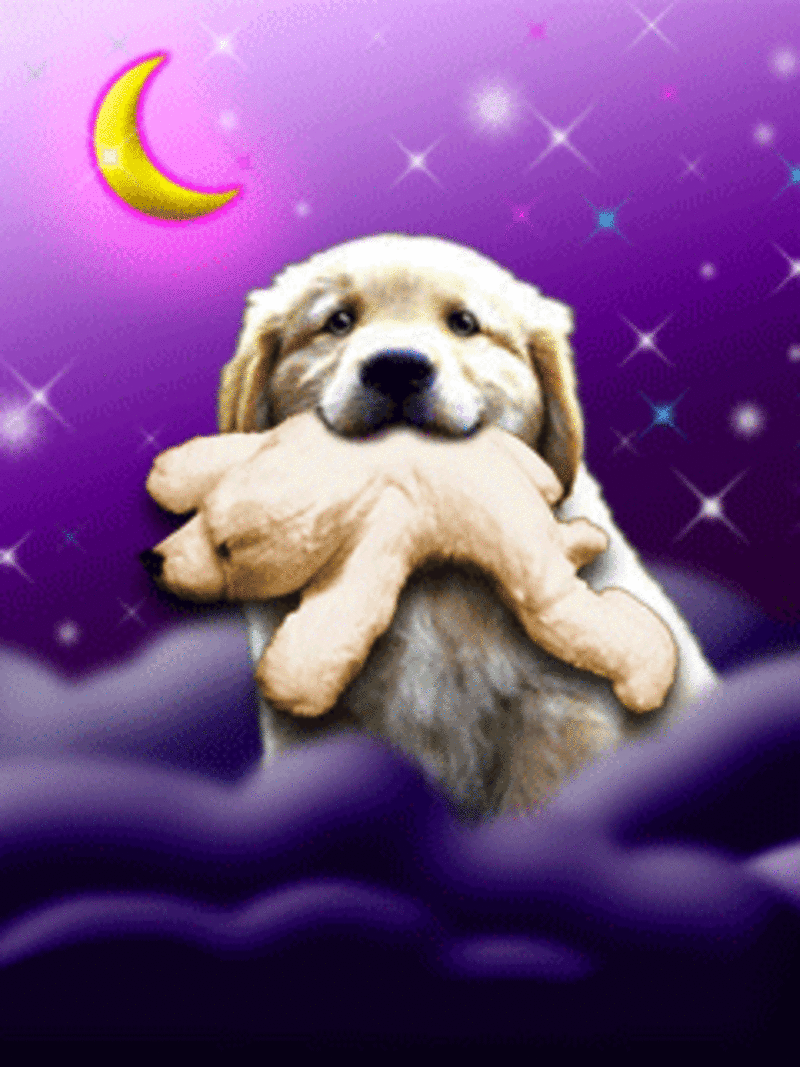 Condolence image of Fur Purzelchen❤️