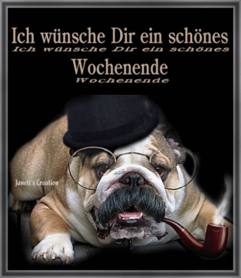 Condolence image of Tanja mit Timmy im Herzen