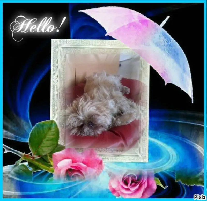 Condolence image of Sternchenpost ⭐