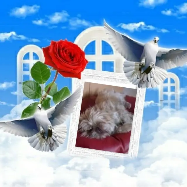 Condolence image of Unbekannt