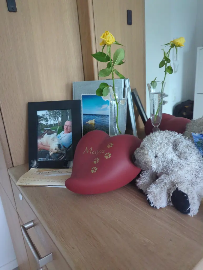 Condolence image of Thomas Voß
