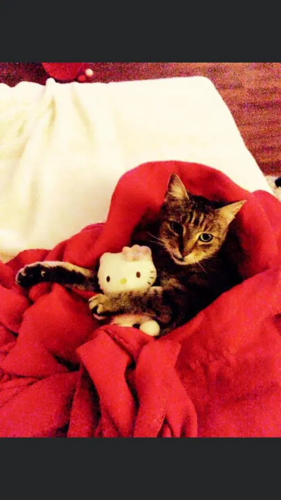 Condolence image of Nora