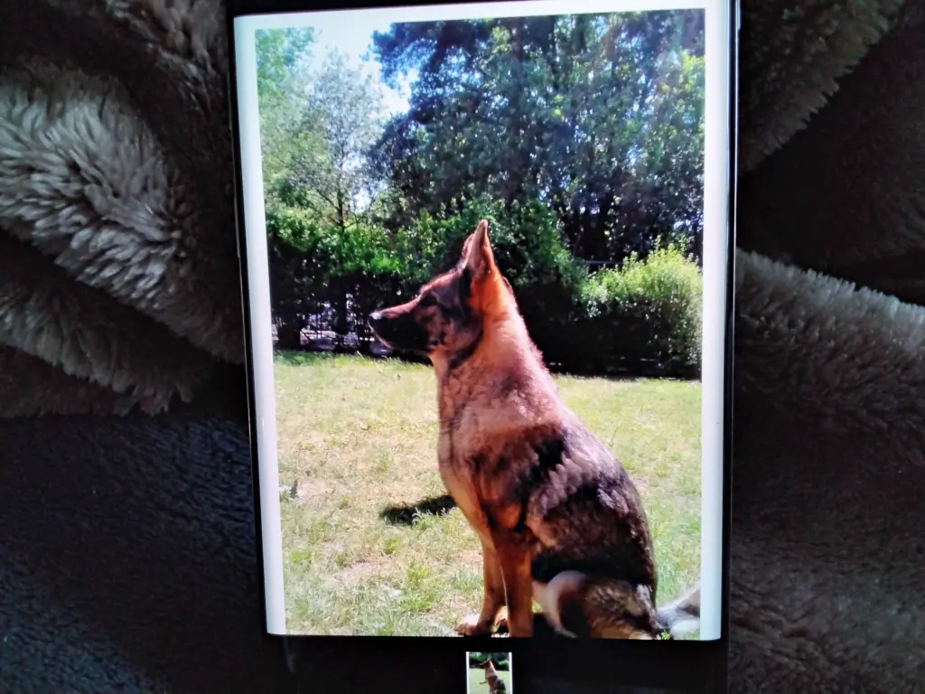 Image from Blanka