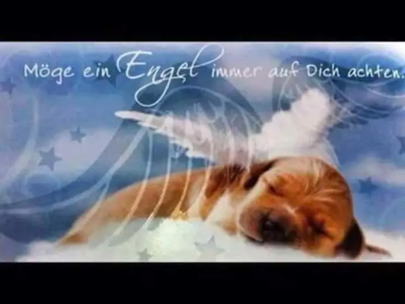 Condolence image of Andrea mit Max im Herzen