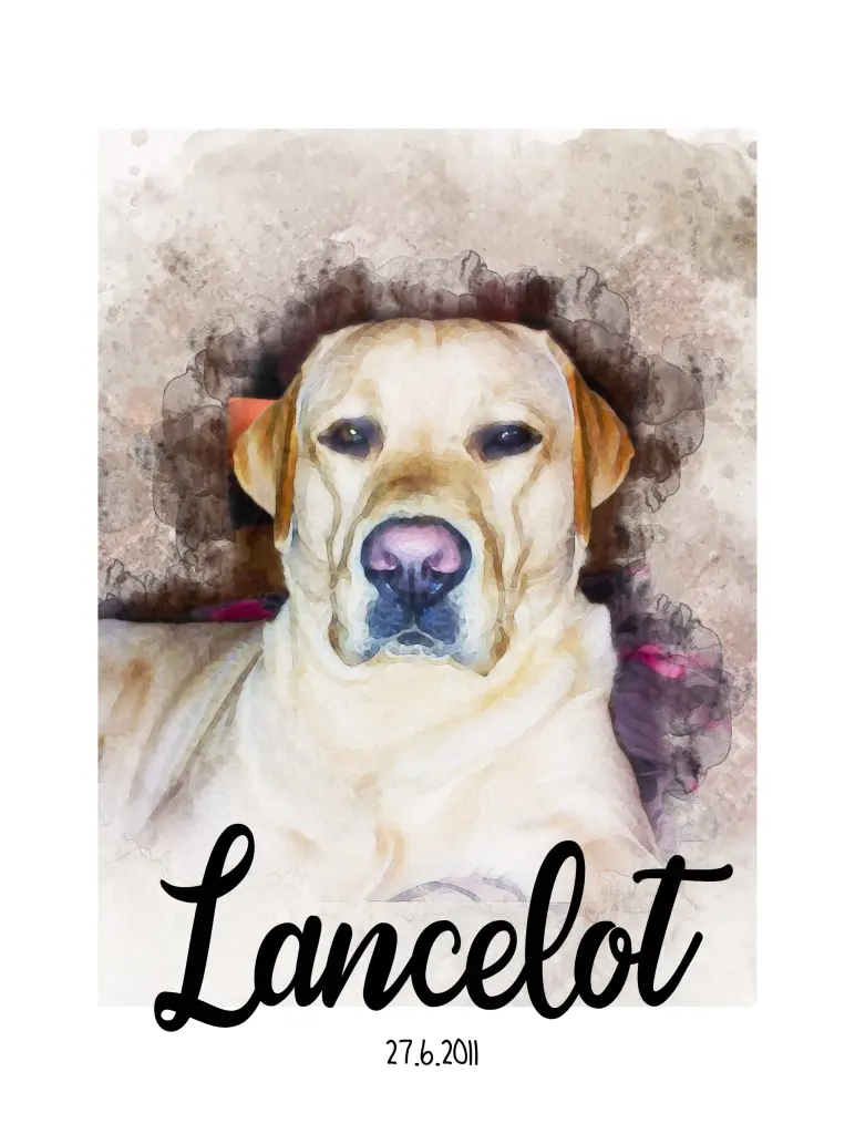 Image from Lancelot