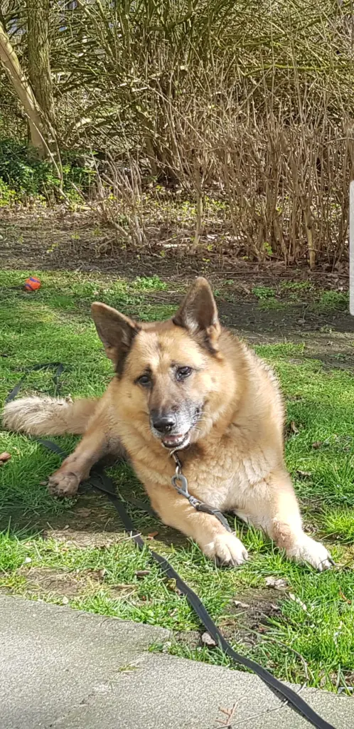 Bild von Bailey