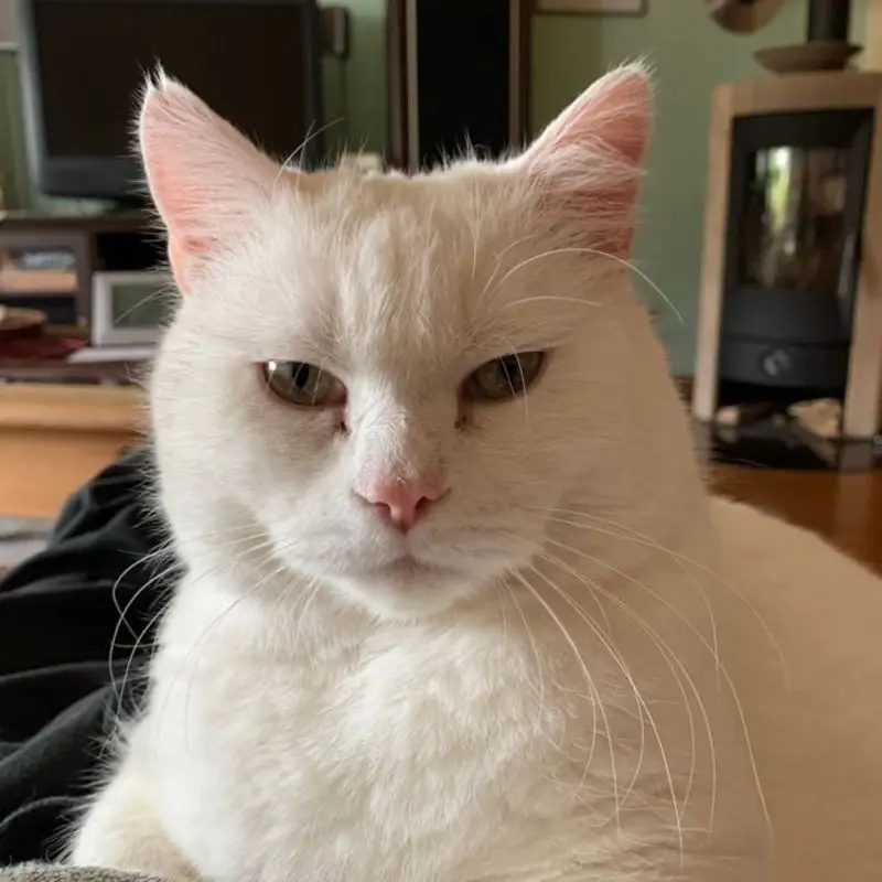 Condolence image of Werner