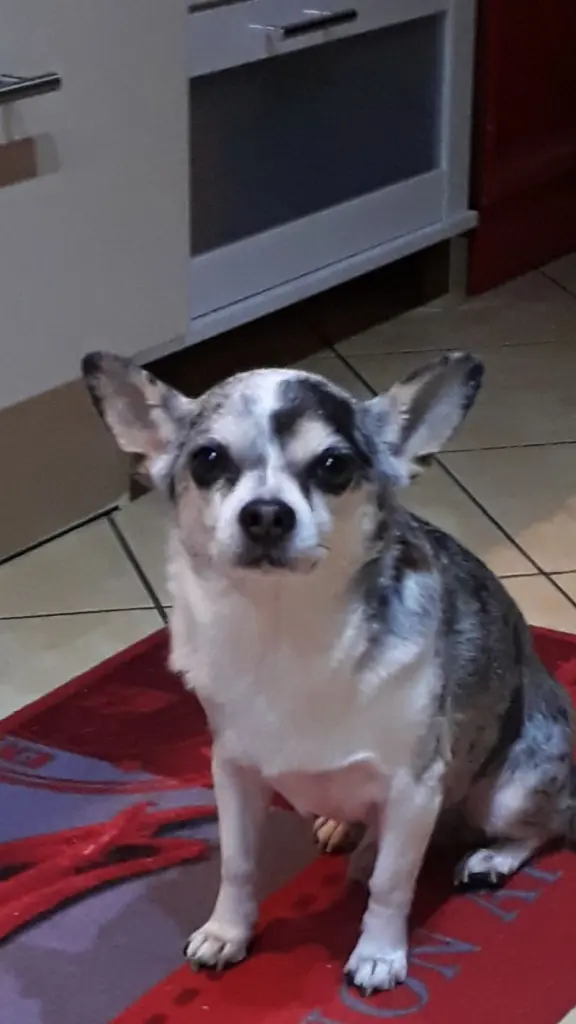 Condolence image of Katrin