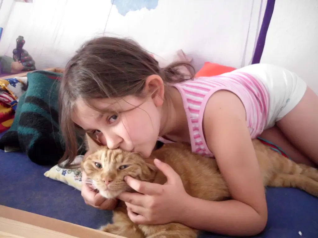 Image from Tiger