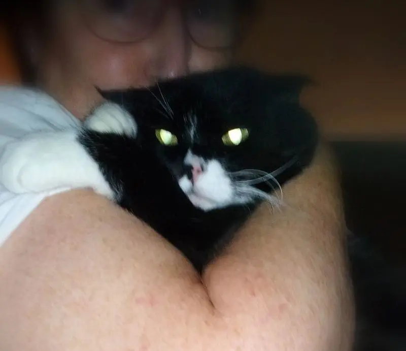 Condolence image of Anke mit Hanki im ♥️