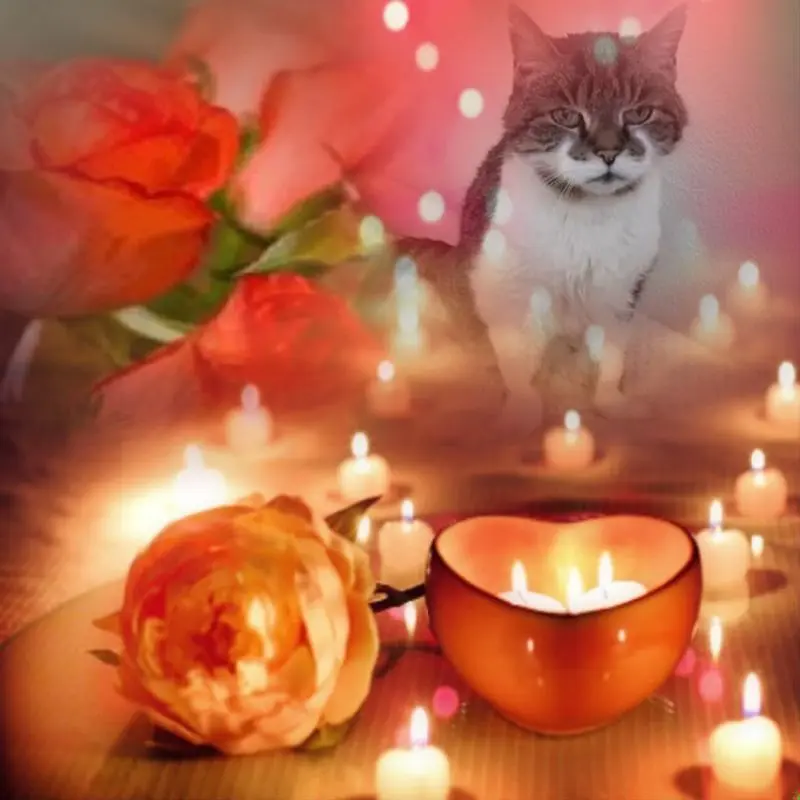 Condolence image of ❤️❤️❤️❤️❤️❤️❤️❤️❤️❤️❤️❤️❤️❤️