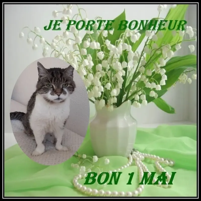 Condolence image of Unbekannt