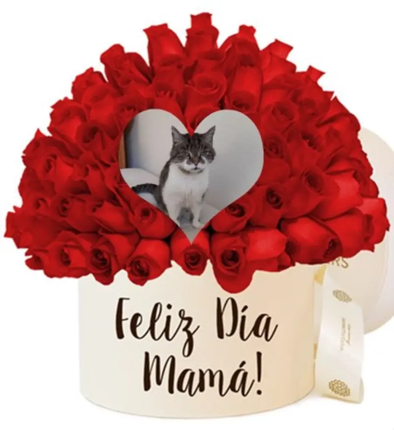 Condolence image of ❤️Mama❤️