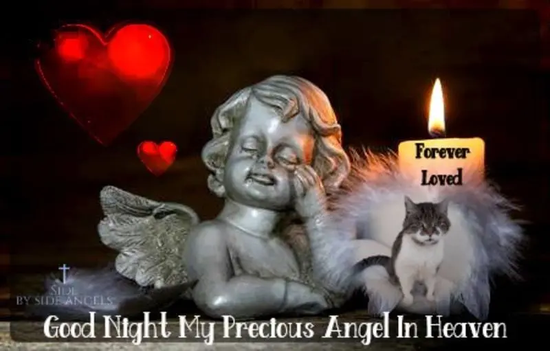 Condolence image of ❤️❤️❤️❤️❤️❤️❤️❤️❤️❤️❤️❤️❤️❤️