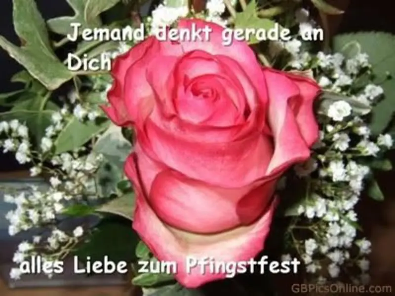 Condolence image of Jeannette mit Sisi und Lissy im ❤️
