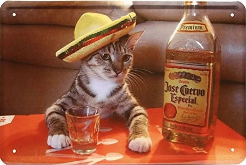 Condolence image of Post von Gatita und Timmy an Minki
